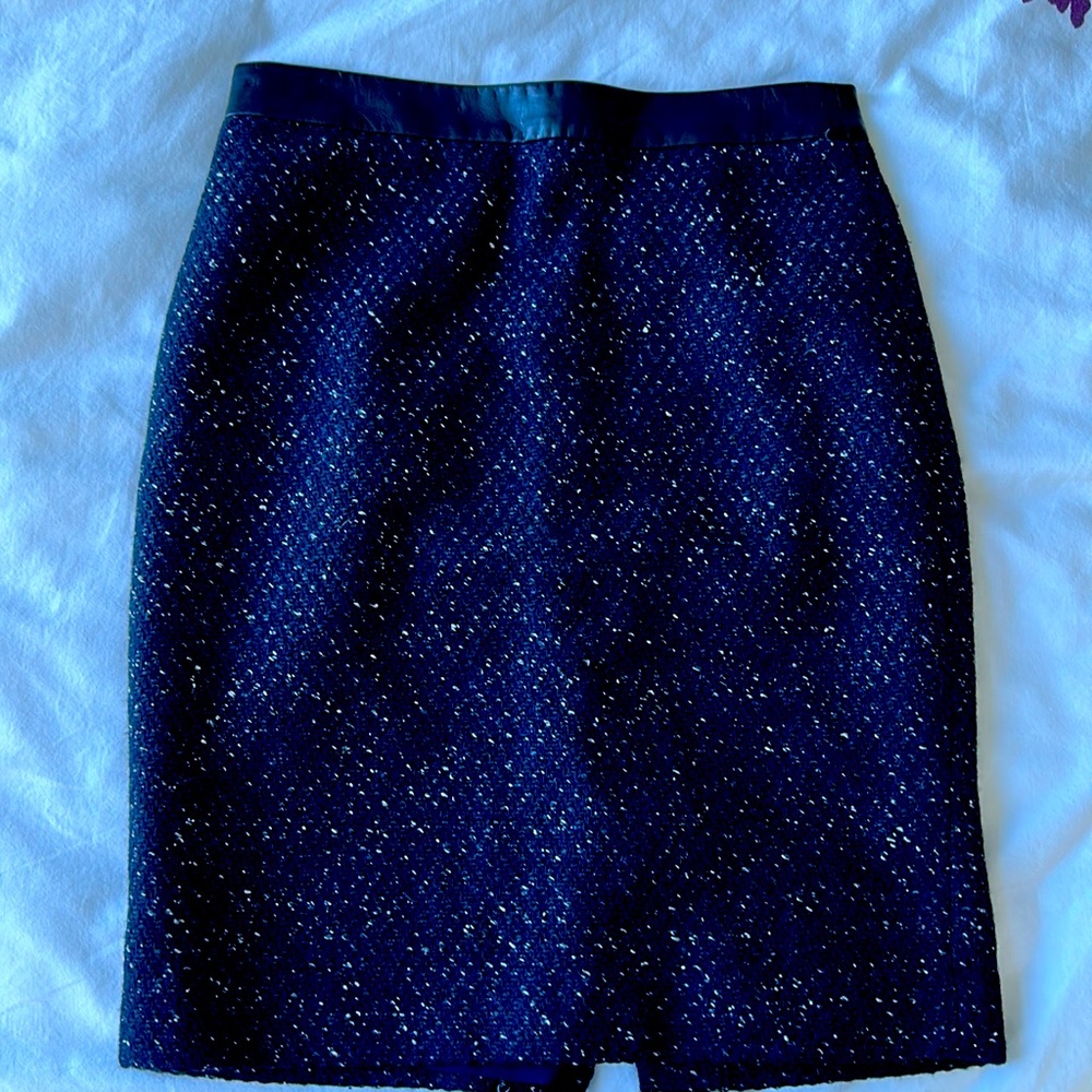 Ann Taylor skirt 00